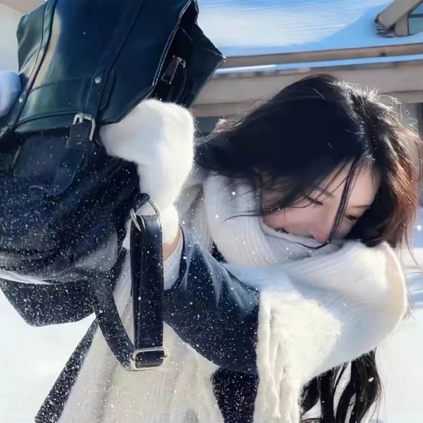 万里寻妹